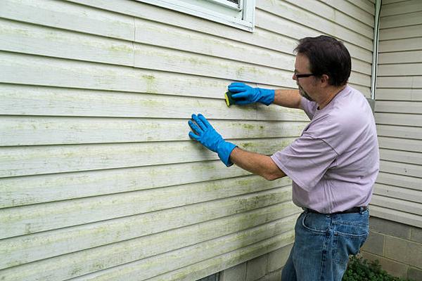 Overland Park Siding Solutions: From Repair to Replacement