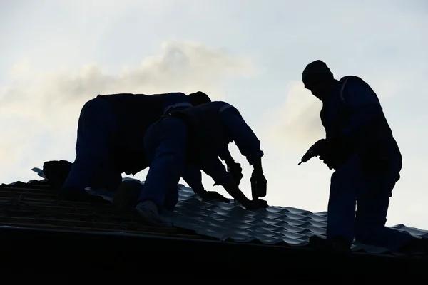 Reliable Roofing Contractors for Your Next Project