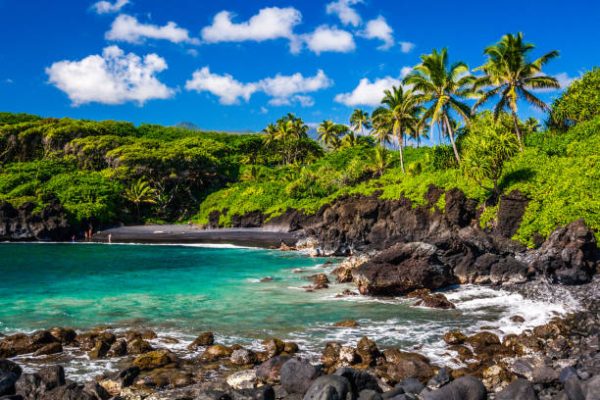 Embark on Oahu's Turtle Trail Snorkeling Tours