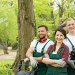 Lawn Care Services in Buford That Keep Your Grass Looking Great