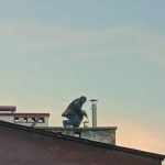 When to Call a Roof Replacement Contractor: Signs You Need One
