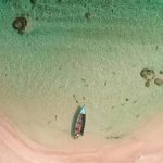Deep Sea Fishing Tours That Define Panama City Beach