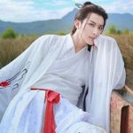 From Everyday Wear to Special Occasions Versatile Men’s Hanfu
