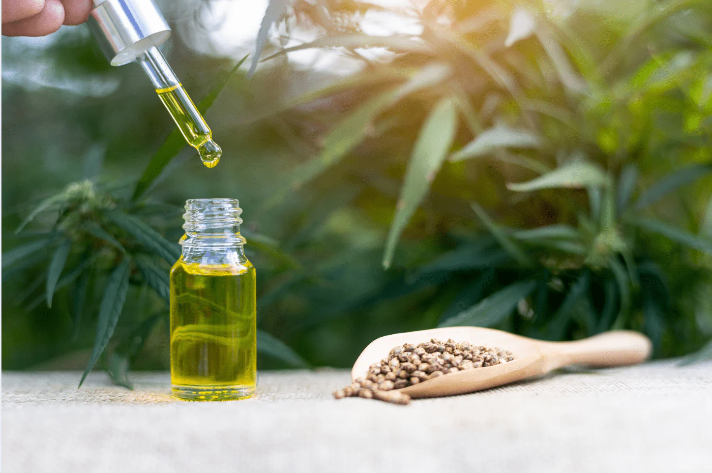 Storing CBD Oil: Tips for Longevity and Freshness