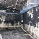 Professional Water Damage Restoration Services in Lake Villa by Certified Specialists