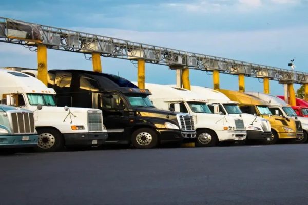 Affordable Services for 2026 UCR renewal Support