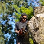 Codys Tree Service: Your Local Tree Service South Lake Tahoe