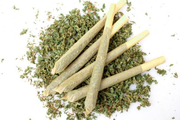 What Makes a Pre Roll Truly Premium and Worth Buying